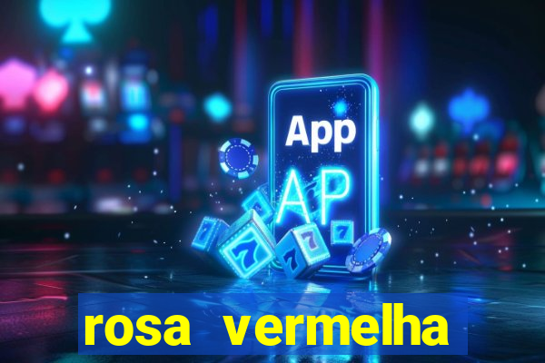 rosa vermelha (letra e cifra)